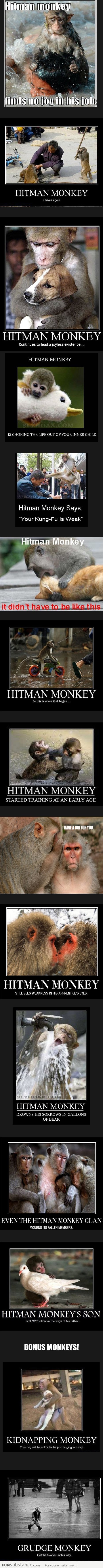 Hitman Monkey