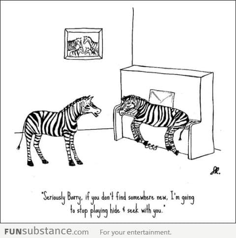 Zebras Playing Hide and Seek