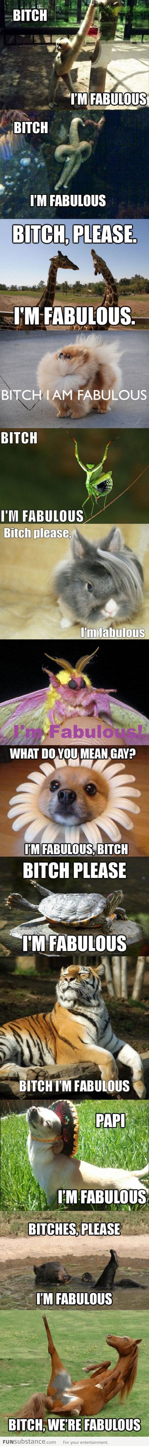 Fabulous animals