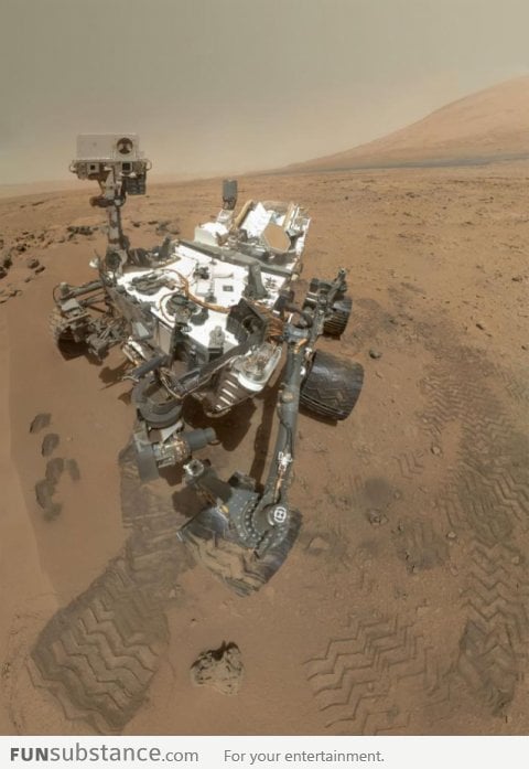 Portrait of Mars Rover Curiosity. who took this picture?