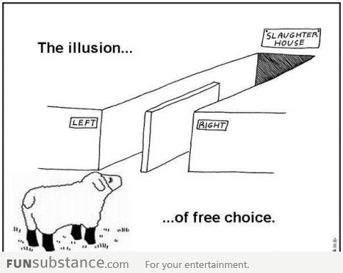 The Illusion Of A Free Choice