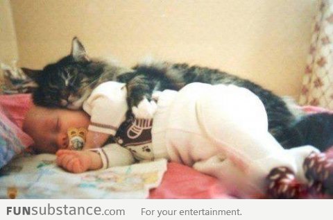 Cat cuddles baby