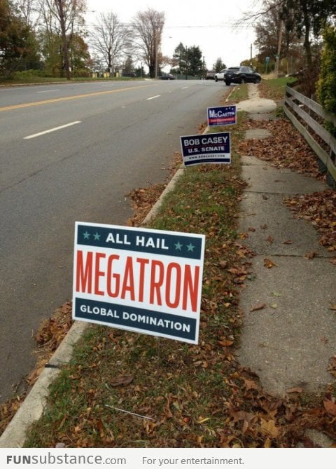 Someone's voting for Megatron