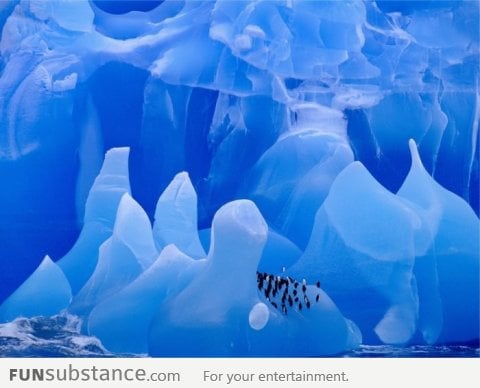 Penguins on Unearthly Ice in Antarctica