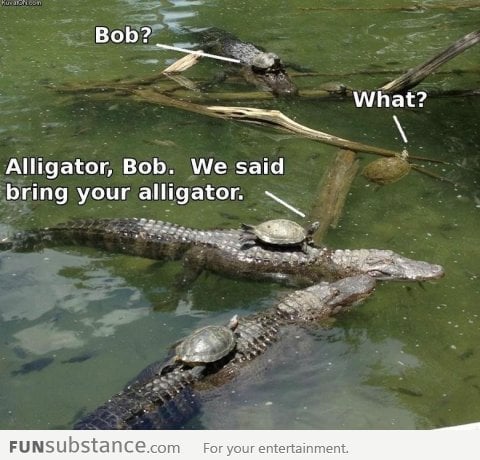 Turtles on alligators