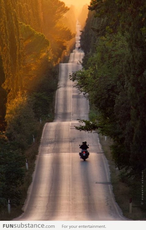 Riding on this road in Bolgheri (Italy) must be fun!