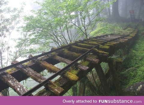 Abandoned Rail Bridge in Taiwan