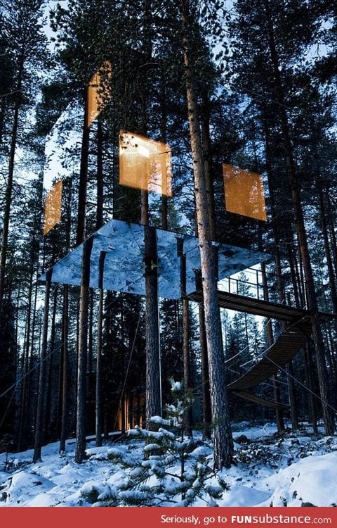 This Treehouse in sweden