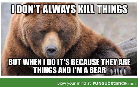 The most interesting bear in the world