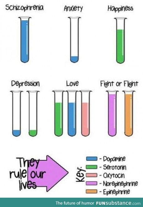 Amazing how only 5 chemicals can control so much of us