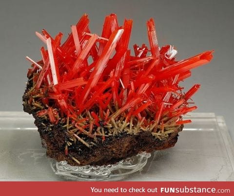 The most aggressive looking mineral I've ever seen-Crocoite