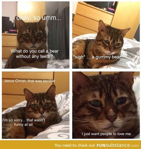 World's saddest cat tells a joke