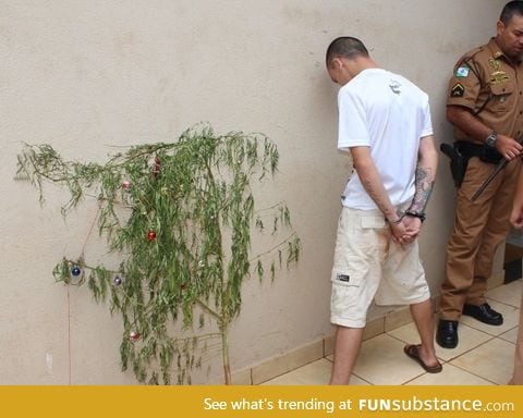 Dude arrested with his Christmas weed tree