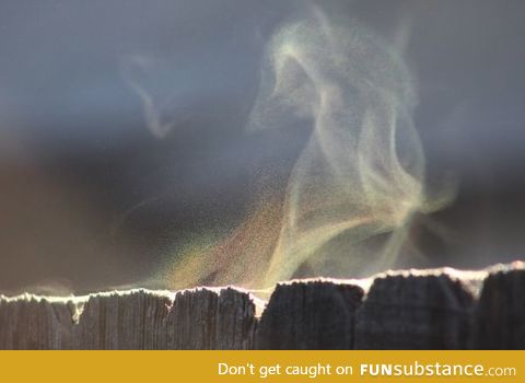 Morning dew evaporating from fence