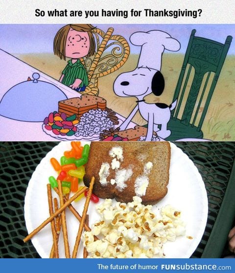 Snoopy's Thanksgiving Dinner, Nailed It