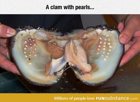 Where pearls come from