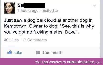 For f*ck sake dave