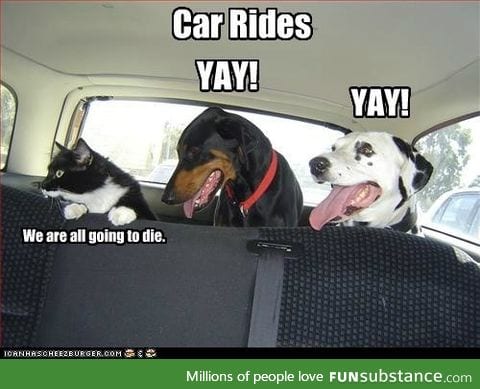 Car rides