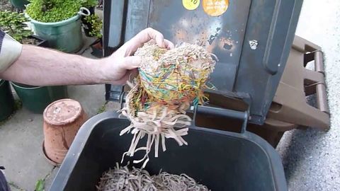 Cutting an elastic band ball in half gives you something really weird