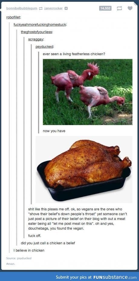 Chicken belief