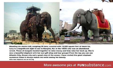 Lucy the Elephant, over 100 years old (Margate Wonders #1)