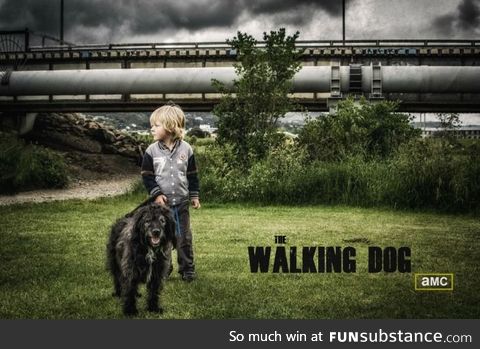 The walking dog
