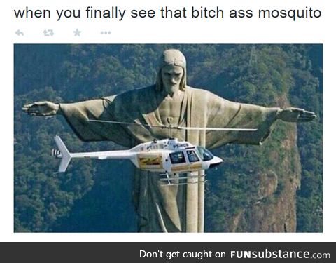 Freakin mosquitos
