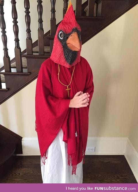 A "cardinal cardinal". Get it?