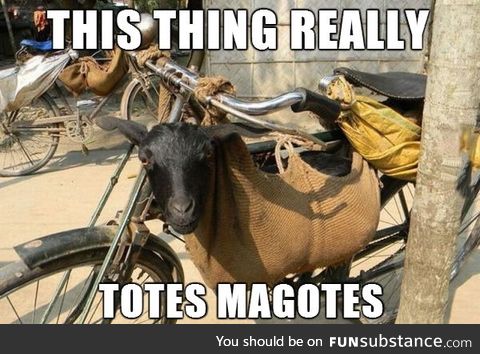 Totes magotes