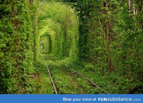 Old railroad track covered by overgrowth in the Ukraine