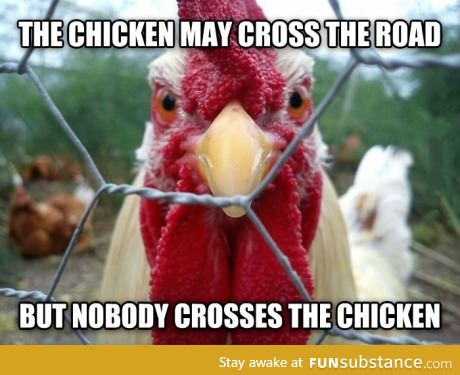 bad-ass chicken