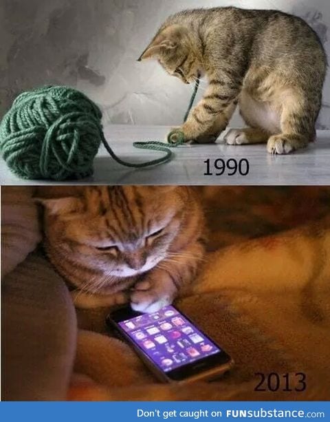 Only 90's cats will understand