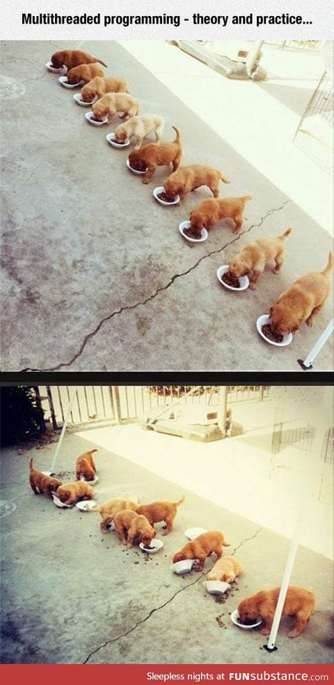 Multithreaded Programming