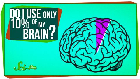 Is it true you only use 10% of your brain?
