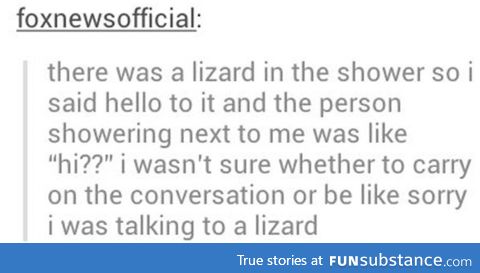 Hello Lizard