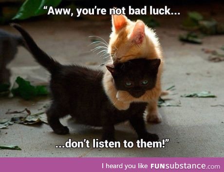 You're not bad luck...