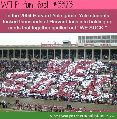 Harvard or Yale?
