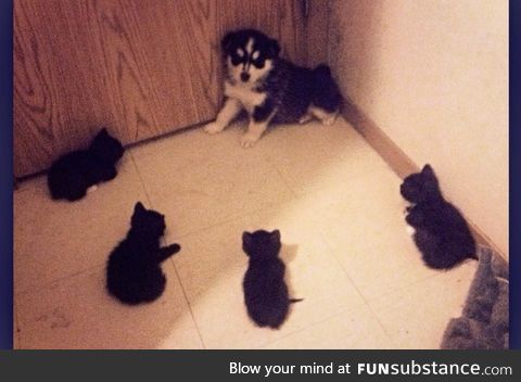 Cornered