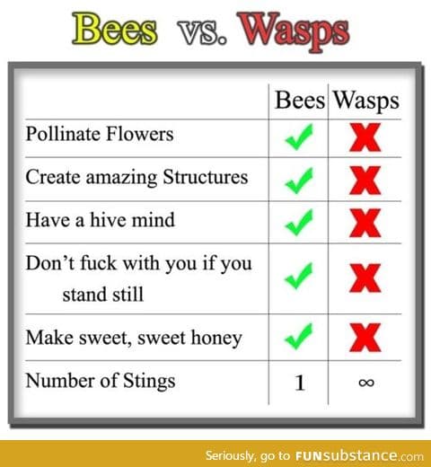 Useless wasps