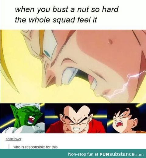 WHERE THE DRAGON BALL Z FANS AT