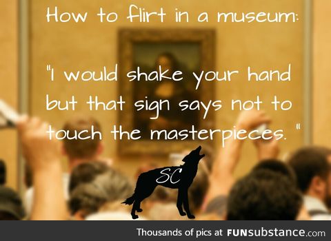Museum Pick Up Line