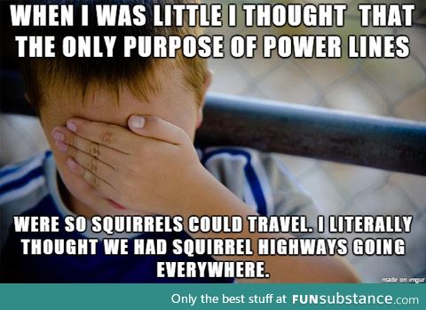 I saw a squirrel on a power line today and reminded me of how dumb I was as a child