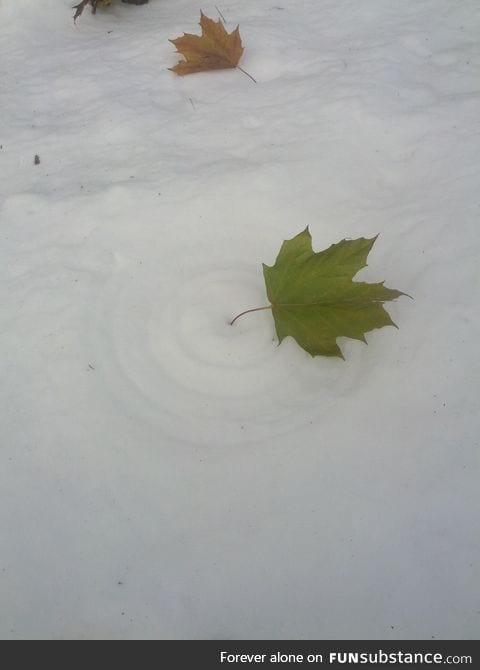 Leaf circles from the wind