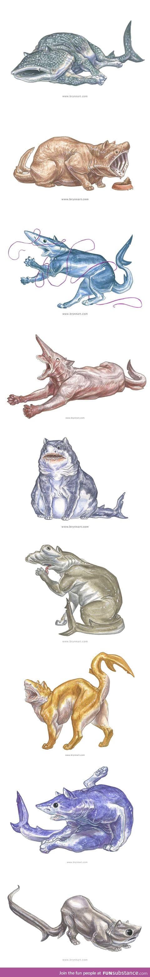 Cat shark mutants