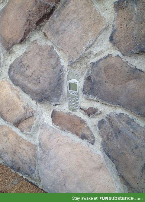 Here we have the elusive Nokia in its natural habitat