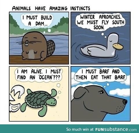 Instincts