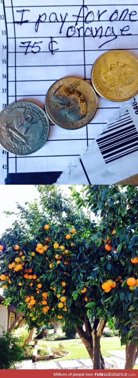 UPS Guy left 75 cents after picking an orange from the front yard