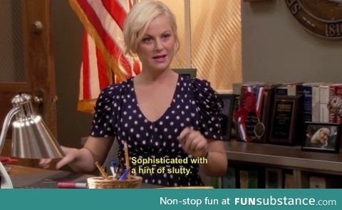 the leslie knope way