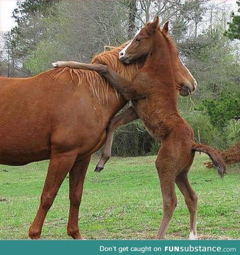 A big hug for mommy