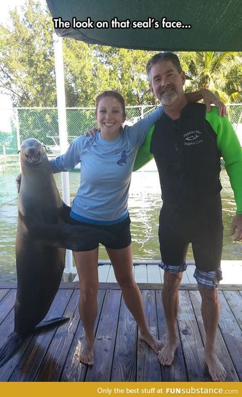 She received a seal of approval